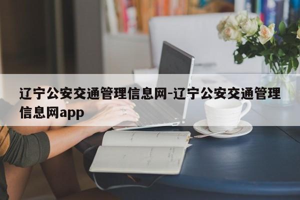 辽宁公安交通管理信息网-辽宁公安交通管理信息网app