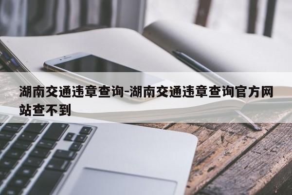 湖南交通违章查询-湖南交通违章查询官方网站查不到