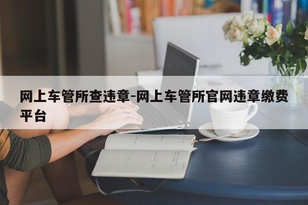 网上车管所查违章-网上车管所官网违章缴费平台