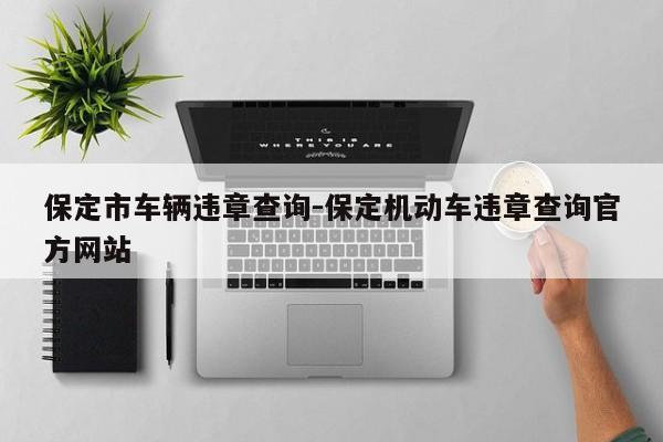 保定市车辆违章查询-保定机动车违章查询官方网站