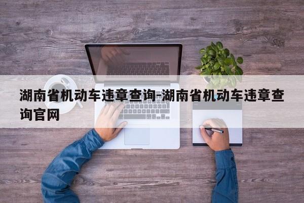 湖南省机动车违章查询-湖南省机动车违章查询官网