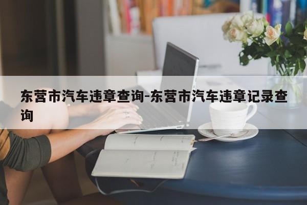 东营市汽车违章查询-东营市汽车违章记录查询