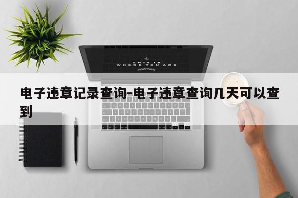 电子违章记录查询-电子违章查询几天可以查到