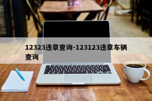 12323违章查询-123123违章车辆查询