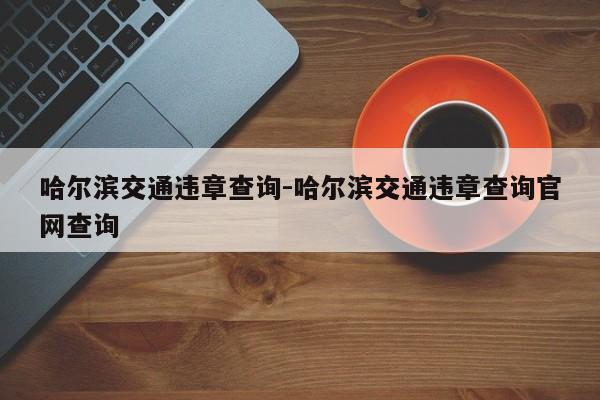 哈尔滨交通违章查询-哈尔滨交通违章查询官网查询