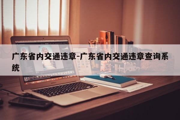 广东省内交通违章-广东省内交通违章查询系统