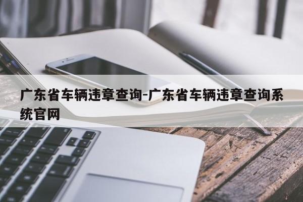 广东省车辆违章查询-广东省车辆违章查询系统官网