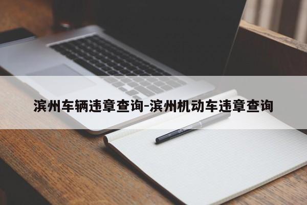 滨州车辆违章查询-滨州机动车违章查询